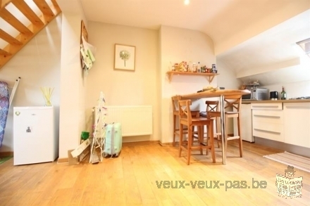 Bel appartement 1 chambre 55 m² à Meublé Schaerbeek