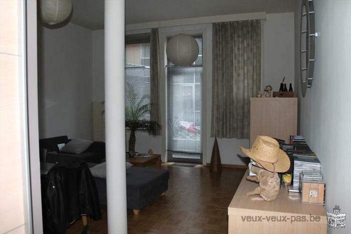 Charmant appartement 1 chambre de 64 m²