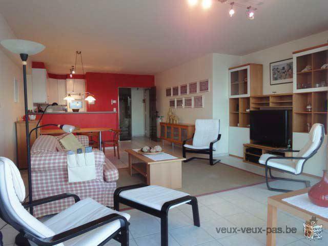 Appartement 1 chambre moderne de 75 m²