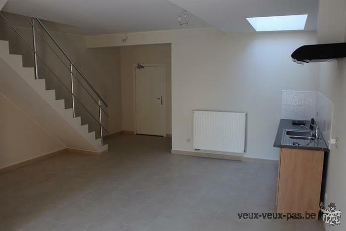 Bel appartement duplex 1 chambre de 60m²