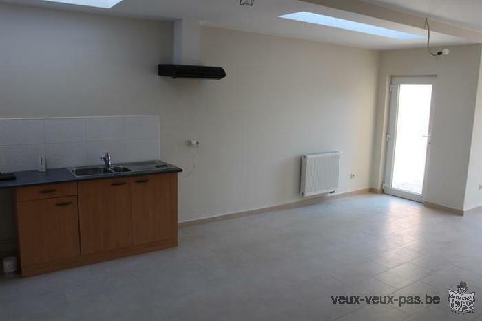 Bel appartement duplex 1 chambre de 60m²