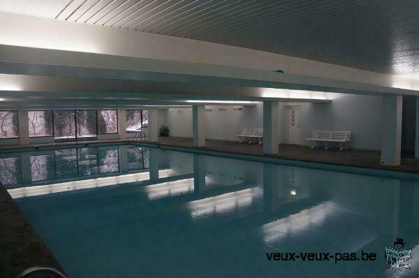 Lumineux studio meublé 2 chambres de 60m² avec piscine