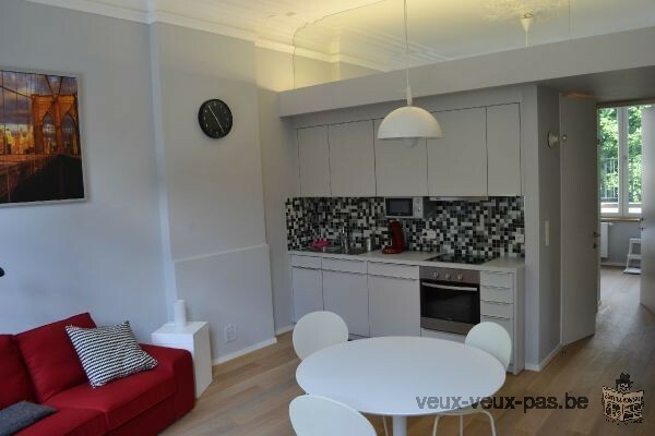 Appartement luxueux 1 chambre de 50 m²