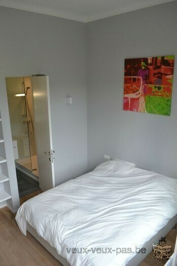 Appartement luxueux 1 chambre de 50 m²