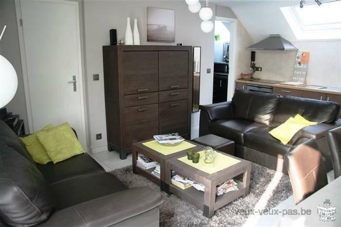 Charmant appartement 1 chambre de 65 m²