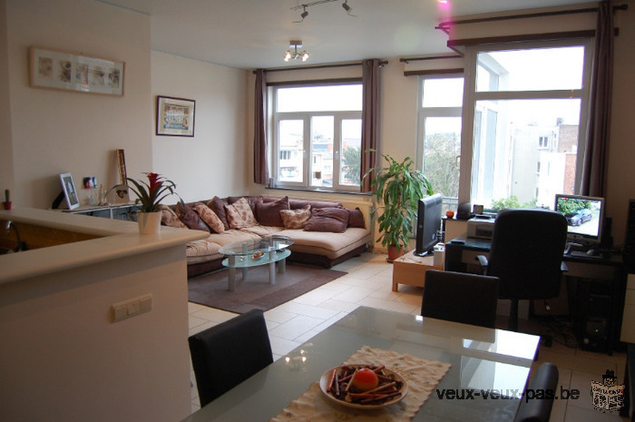 Spacieux et lumineux appartement 1 chambre de 80 m²