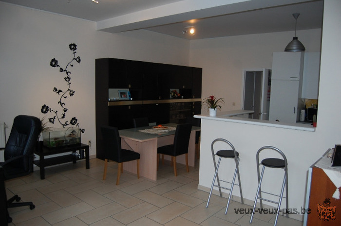 Spacieux et lumineux appartement 1 chambre de 80 m²