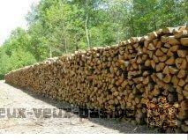 promotion de bois de chauffage (livraison gratuite)