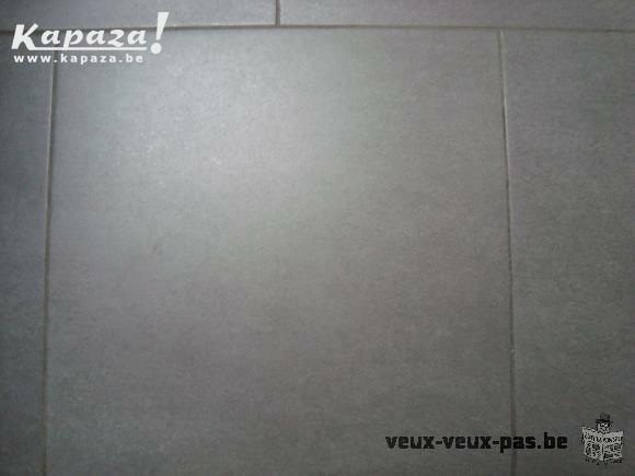 av lots de 63 carrelages gris 50/50