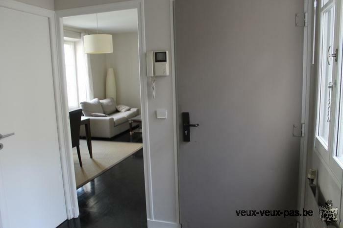 Appartement meuble 1 chambre 45m²