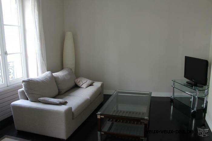 Appartement meuble 1 chambre 45m²