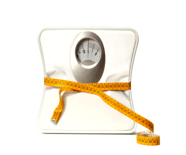 Vous en avez marre de vos kilos en trop ? Et ou vous ne savez plus comment vous alimenter ?
